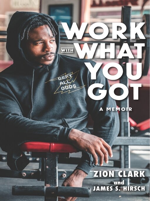 Couverture de Work with What You Got